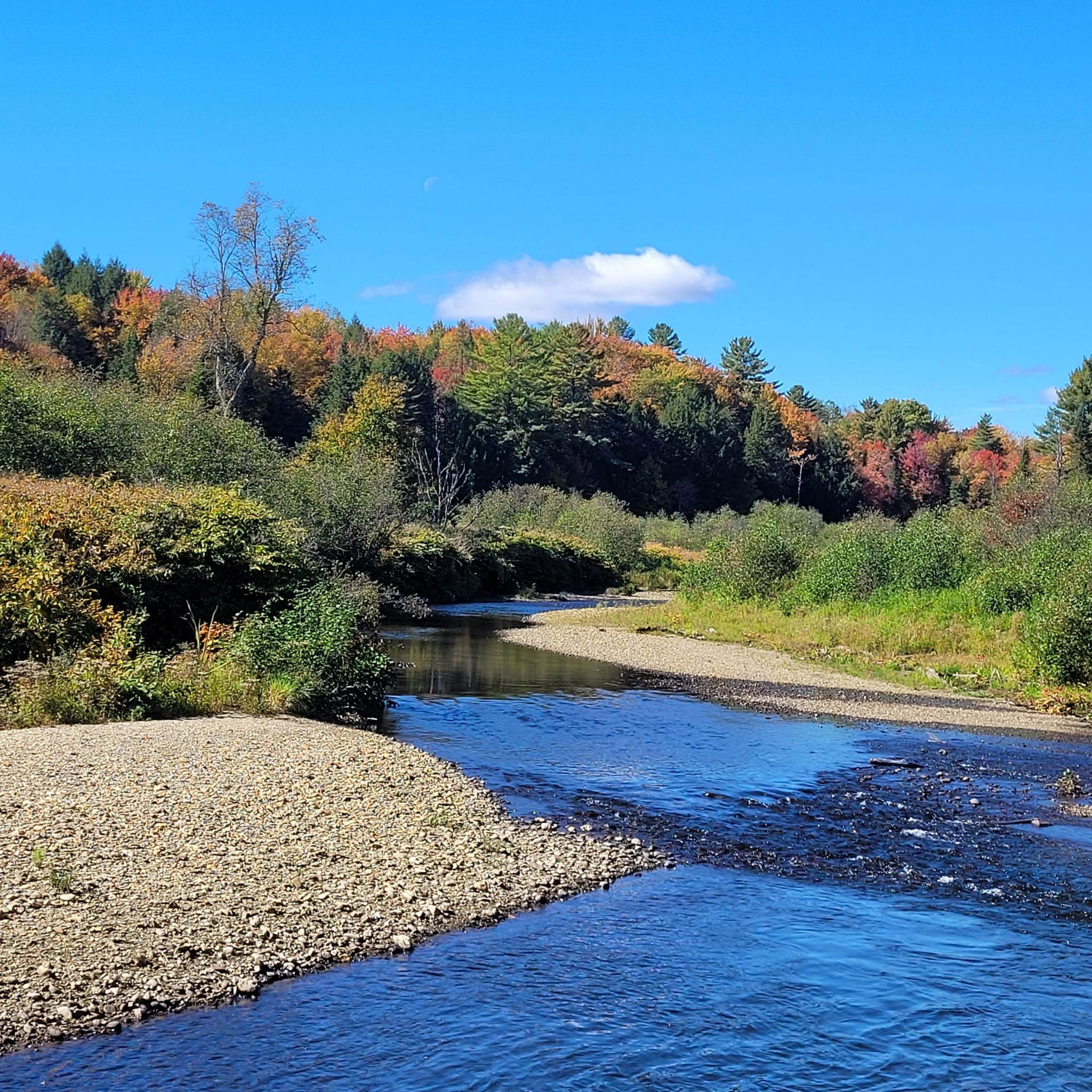 River winding between gravel banks and autumn-colored woods.