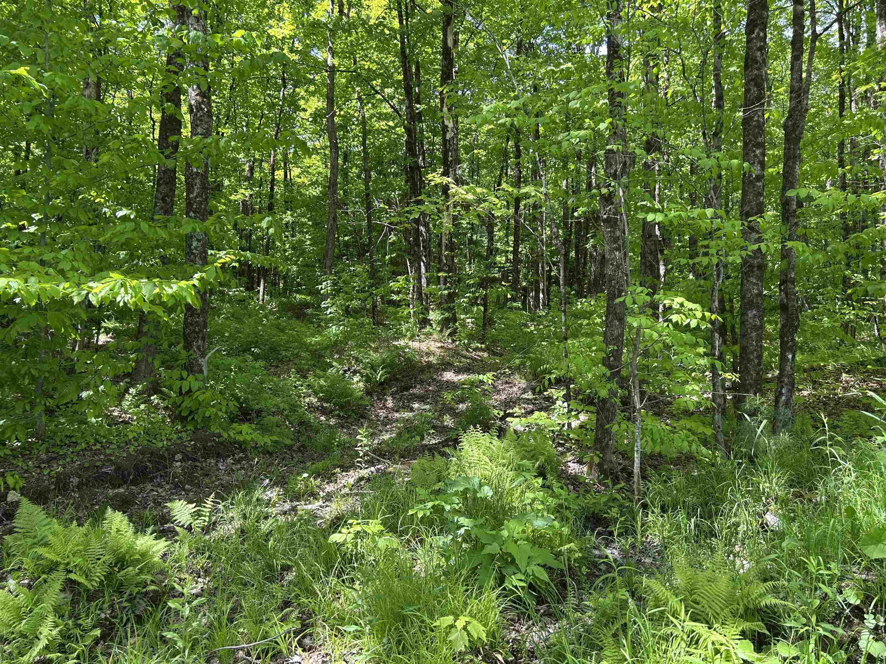 Lot 2 Pion Road