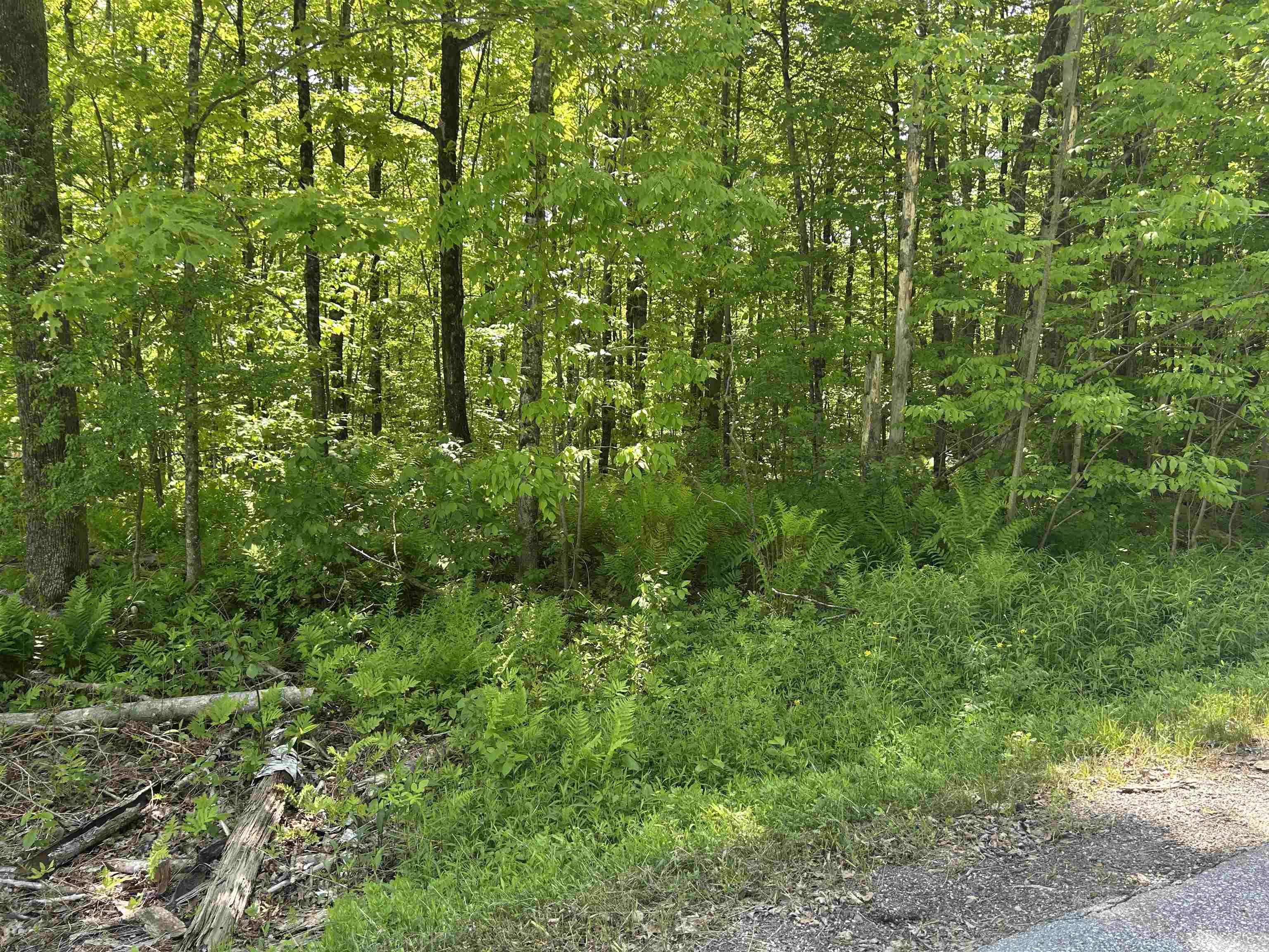 Lot 2 Pion Road