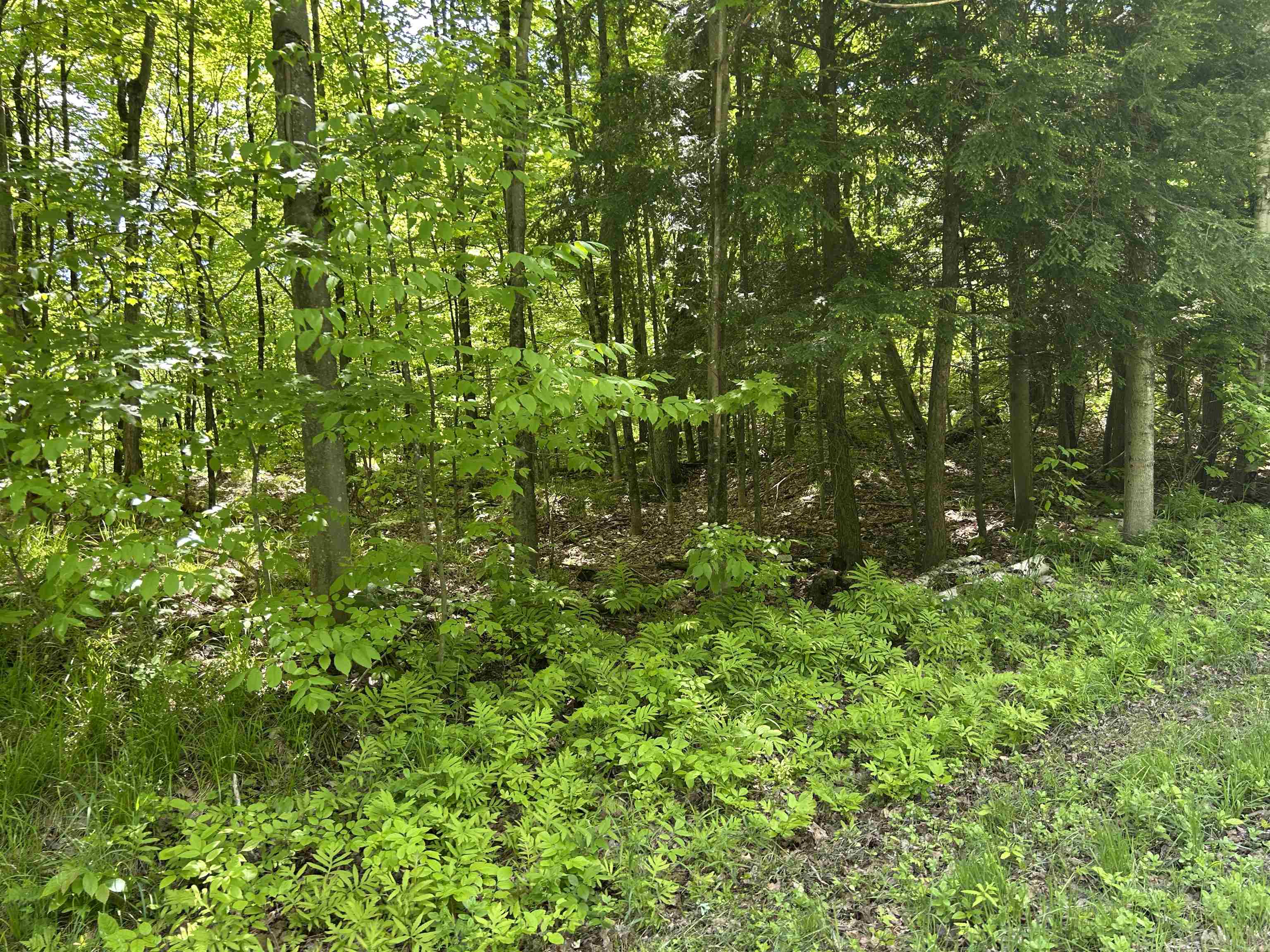 Lot 2 Pion Road