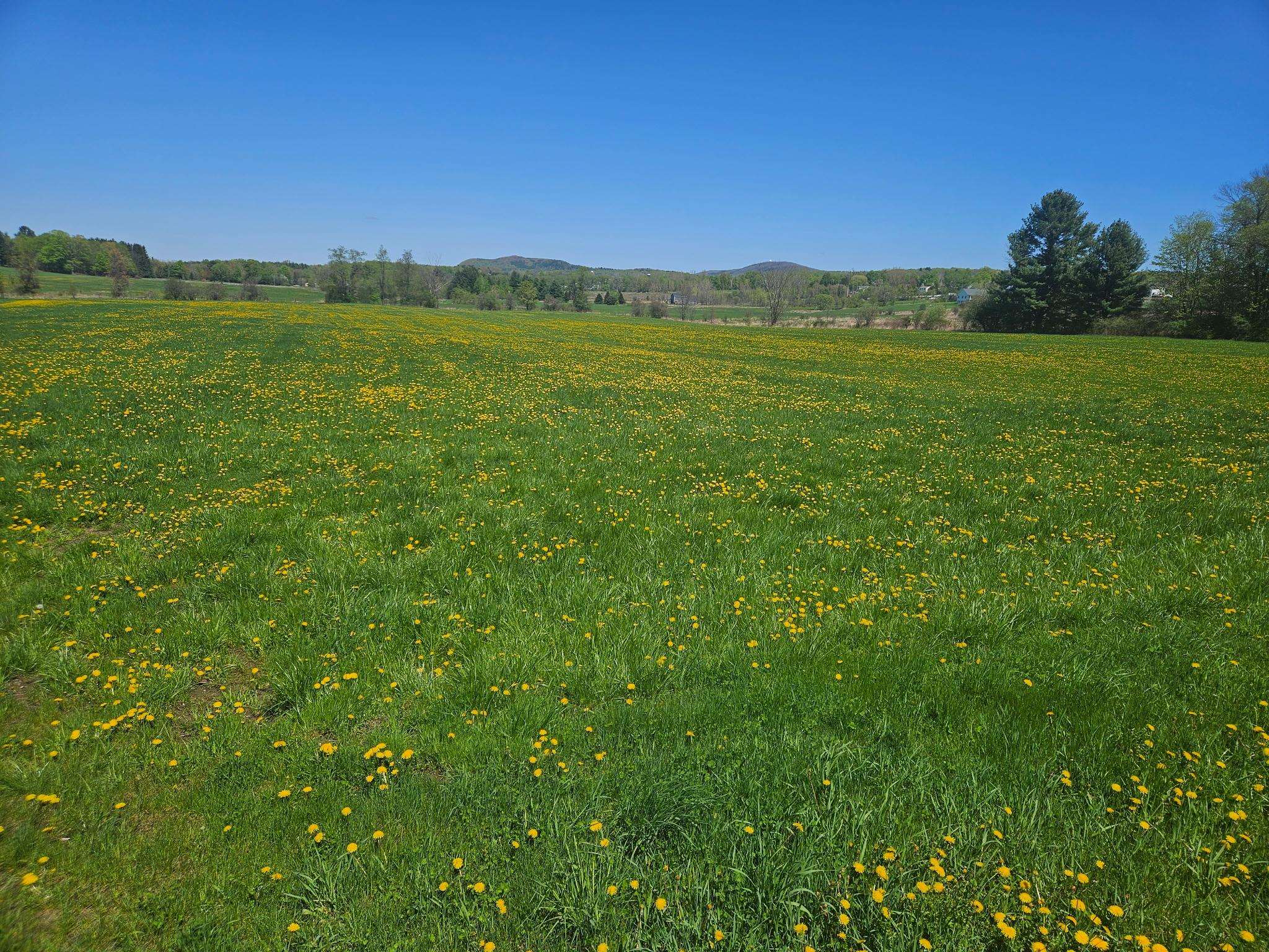 Lot 2 Plains Road