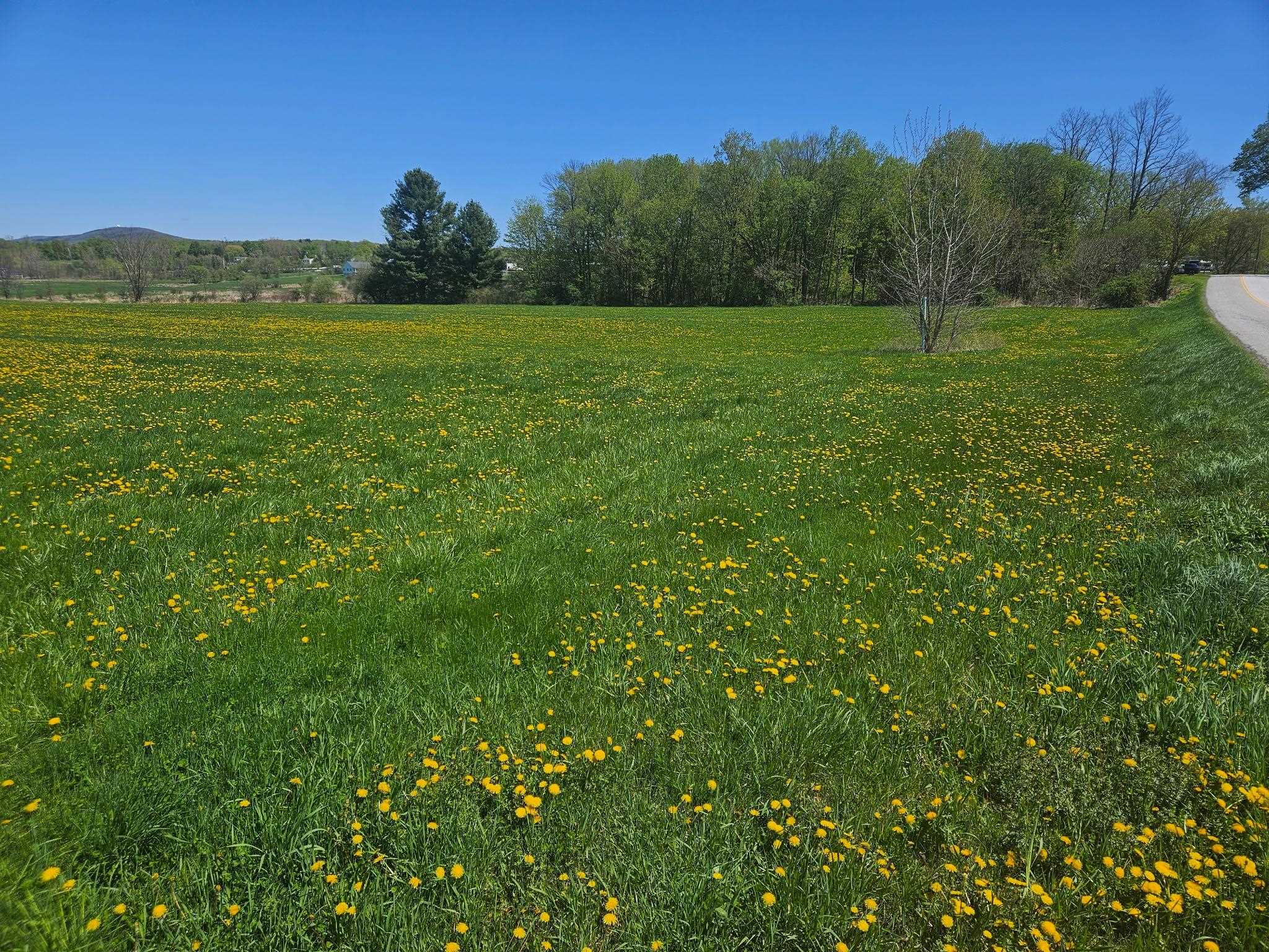 Lot 2 Plains Road
