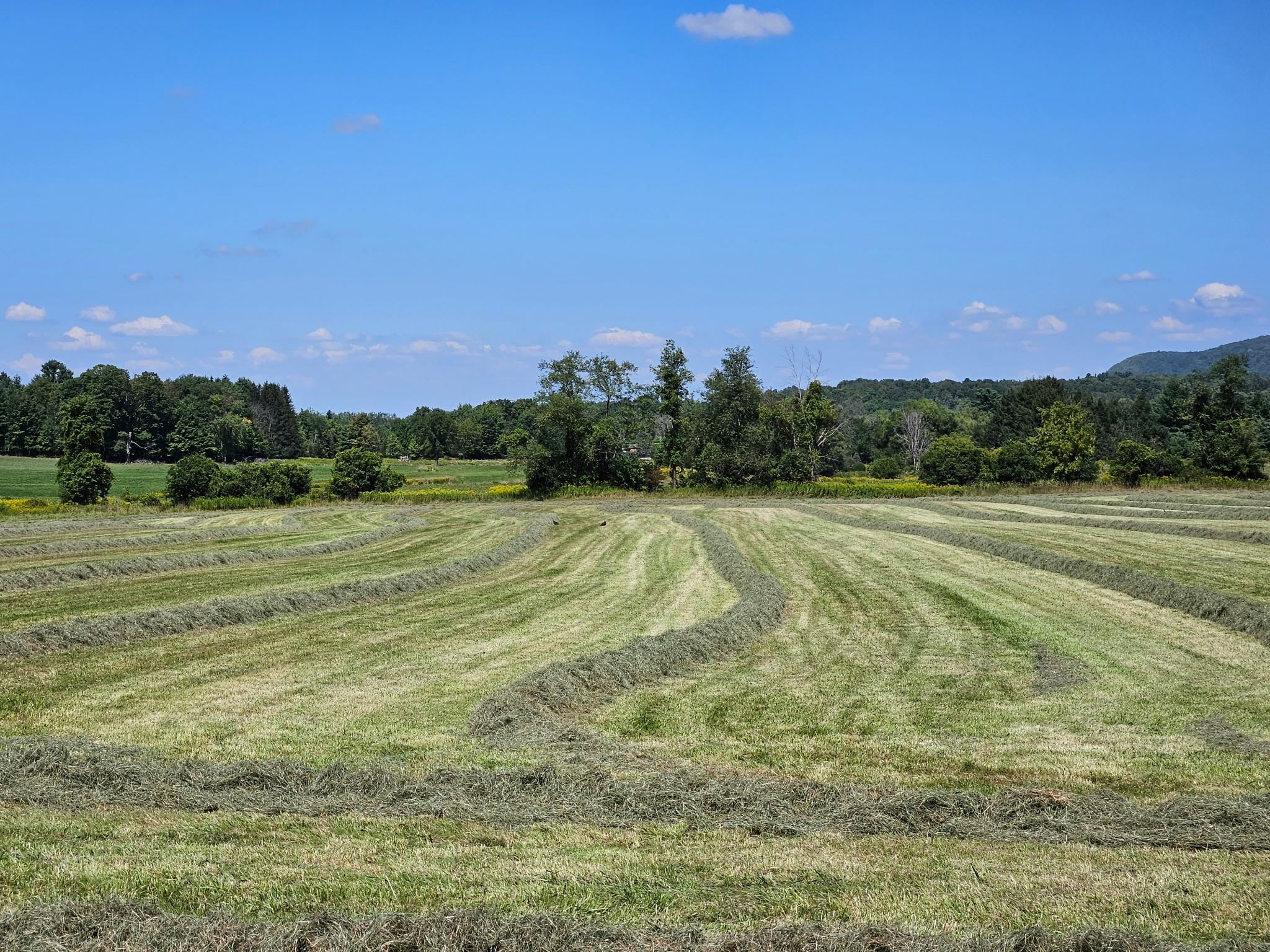 Lot 2 Plains Road