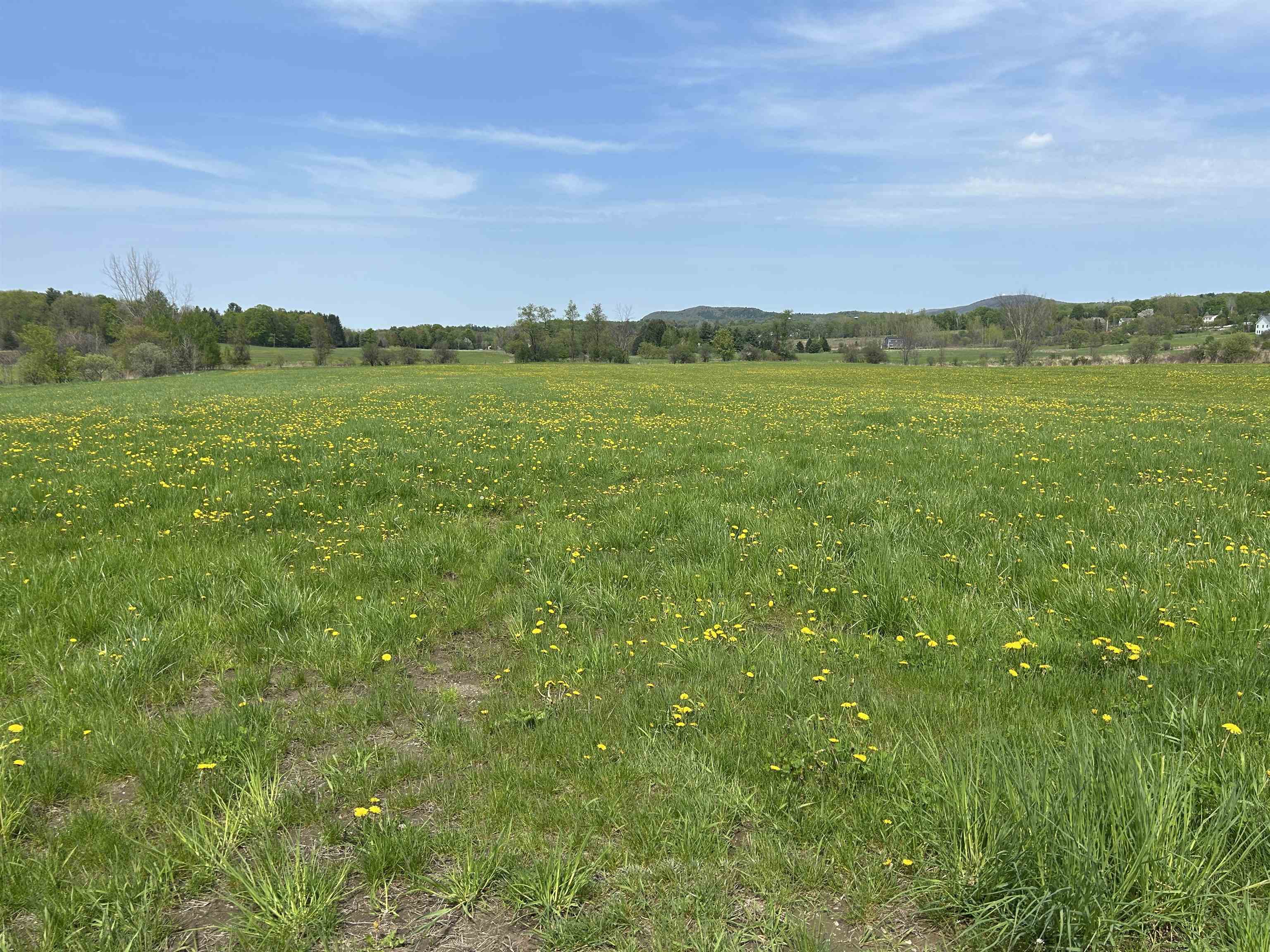 Lot 2 Plains Road