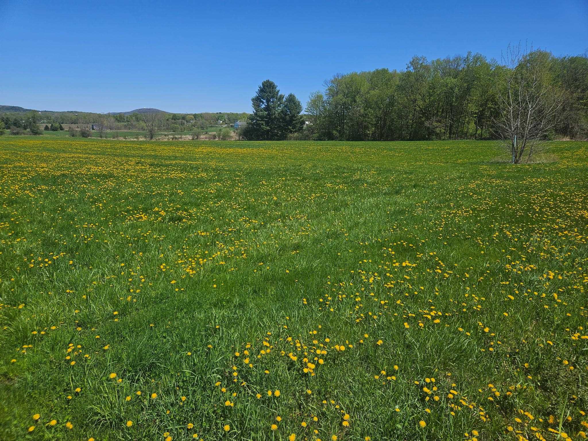Lot 2 Plains Road