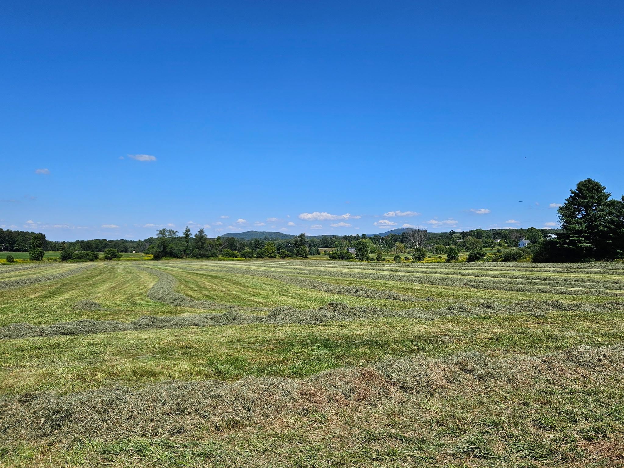 Lot 2 Plains Road