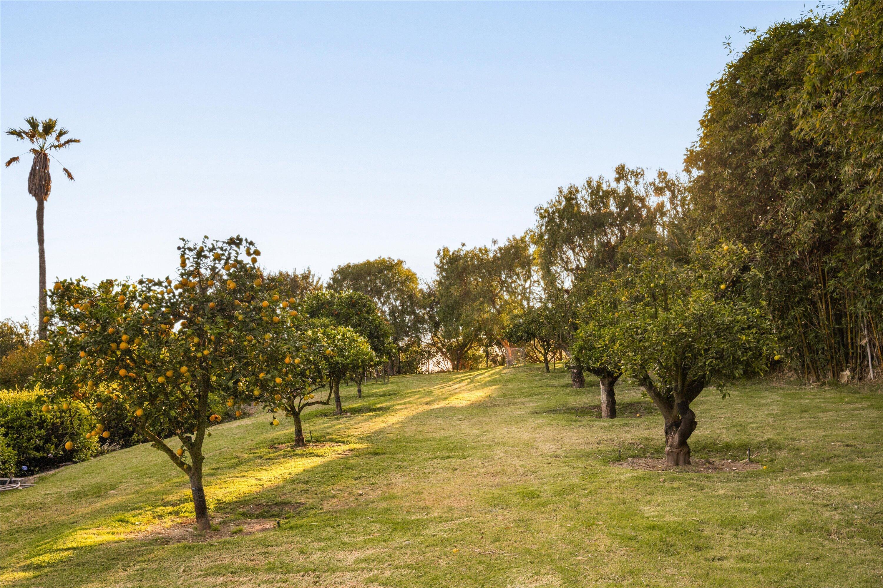813 Romero Canyon Road
