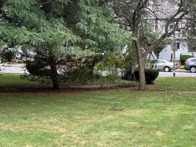 133 Grew Avenue # B