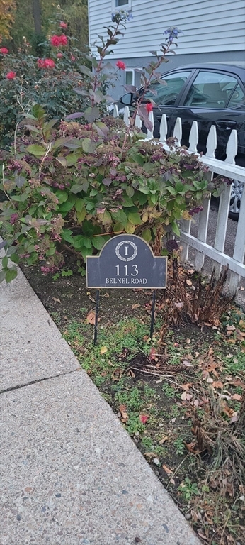 113 Belnel Rd