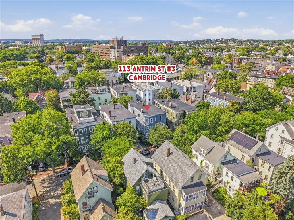 113 Antrim St # 3