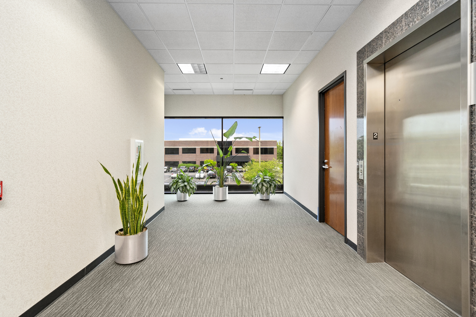 1770 Park Street Unit: 202