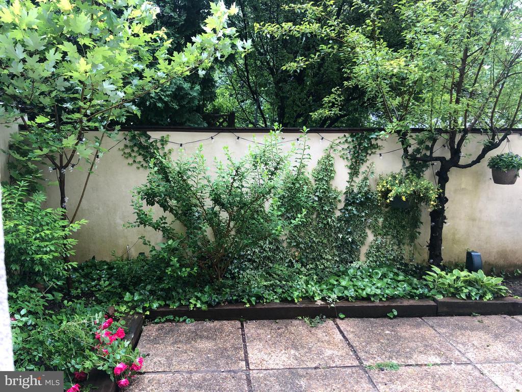 100 LLANALEW ROAD Unit: 11C