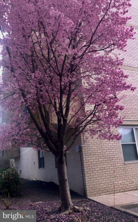 20 CONSHOHOCKEN STATE RD Unit: UNIT 602