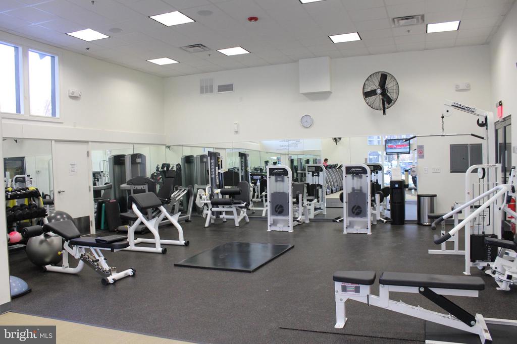 10411 VALLEY FORGE CIRCLE Unit: 411