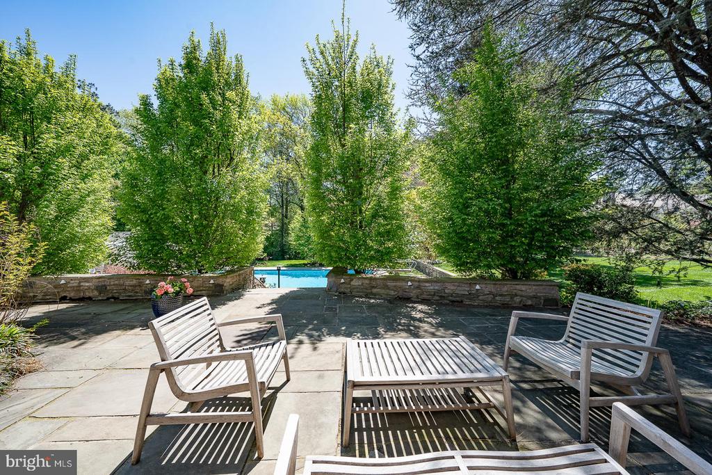 411 WISTER ROAD