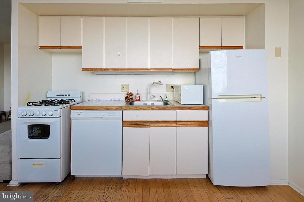 1326 SPRUCE STREET Unit: 1602