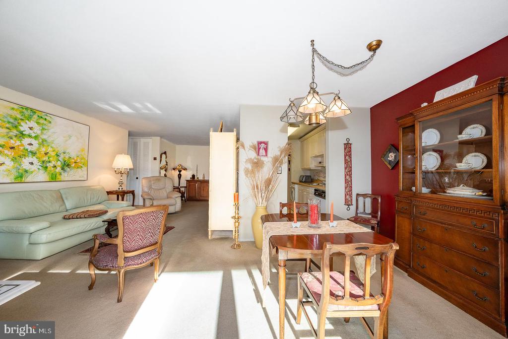 1919 CHESTNUT STREET Unit: 1316