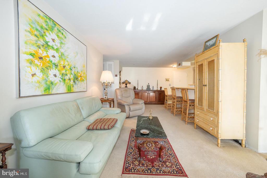 1919 CHESTNUT STREET Unit: 1316