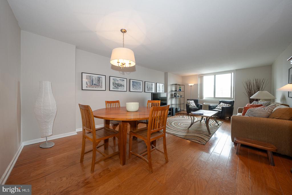1919 CHESTNUT STREET Unit: 2209
