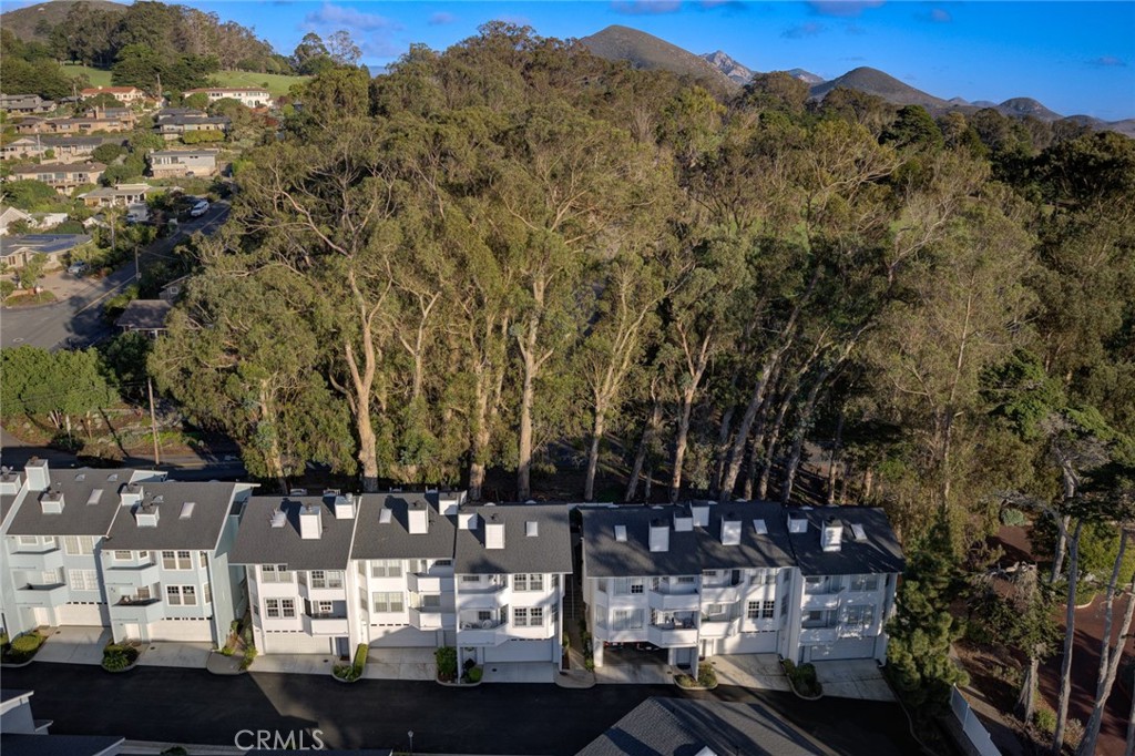 138 Sandpiper Circle