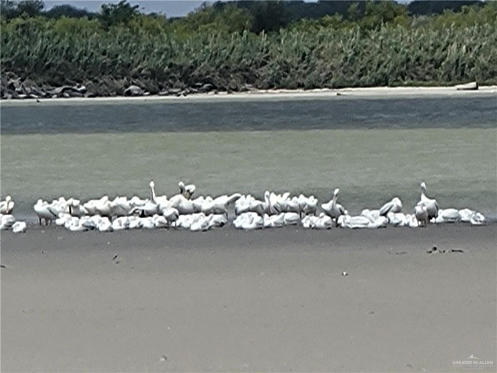 8544 Lago Vista Drive