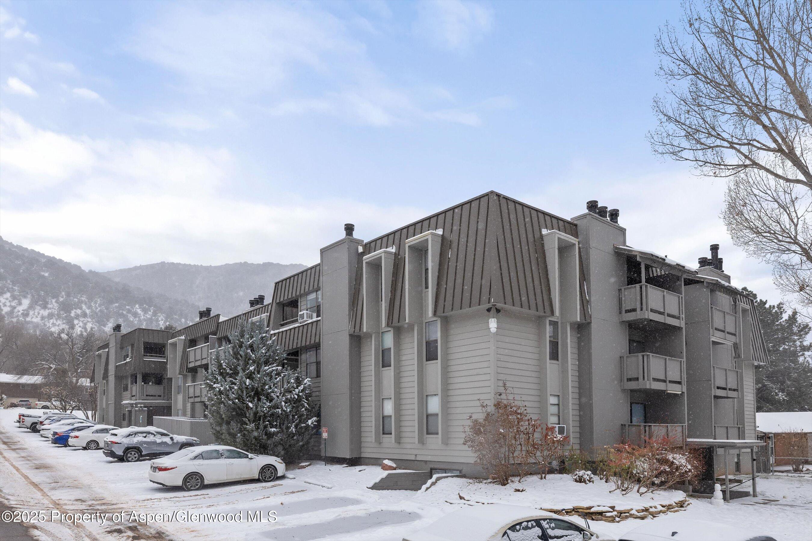 1527 Blake Avenue 207