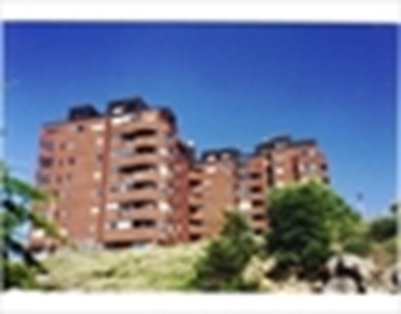 200 Burkhall St # 508