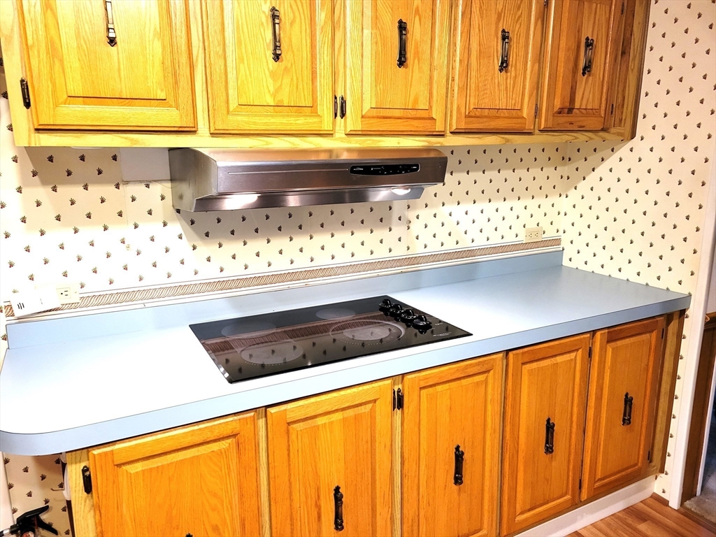 54 South Meadow Village # 9