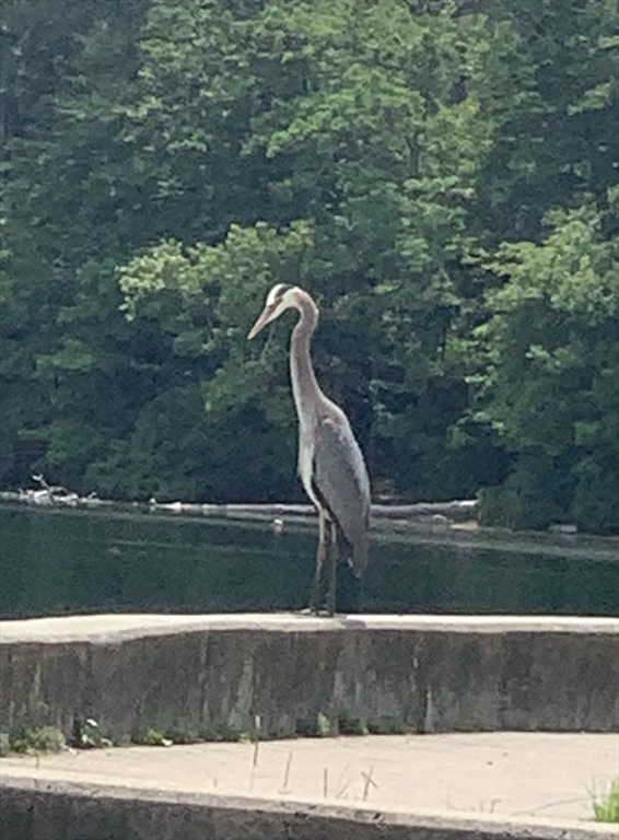 37 Oar And Line Rd