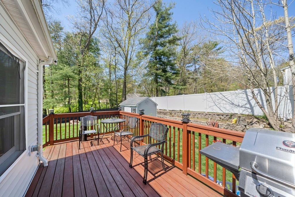 44 Pine Tree Ln