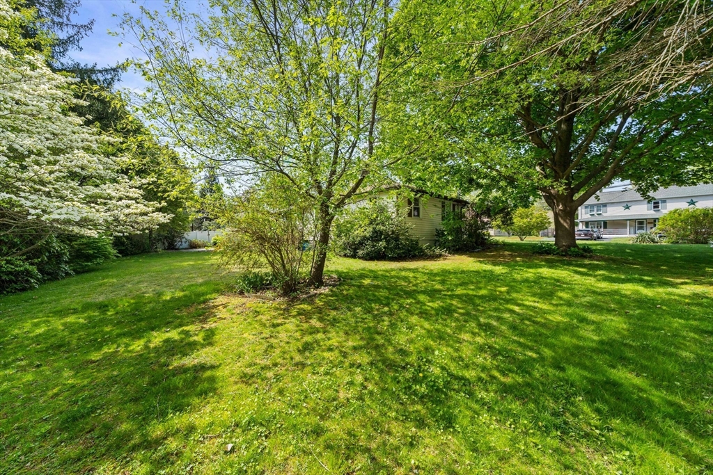 92 Milton Rd