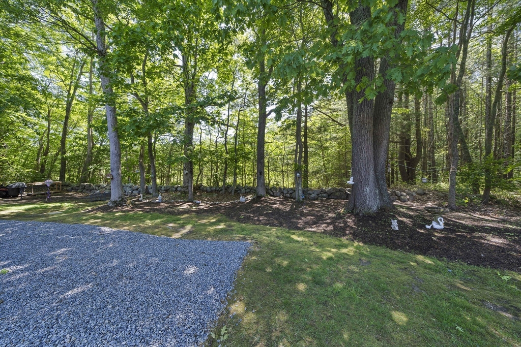 17 Edward Dr