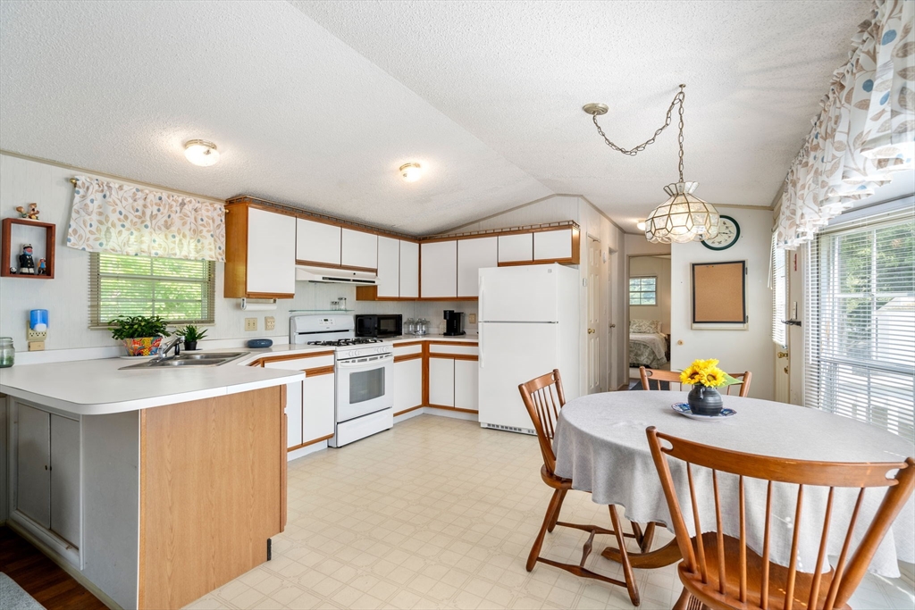 42 Mountain Ash Drive