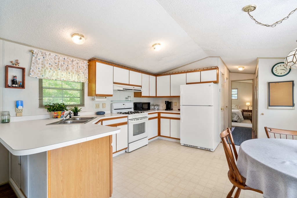 42 Mountain Ash Drive