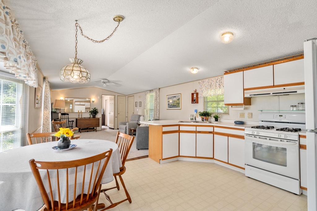 42 Mountain Ash Drive