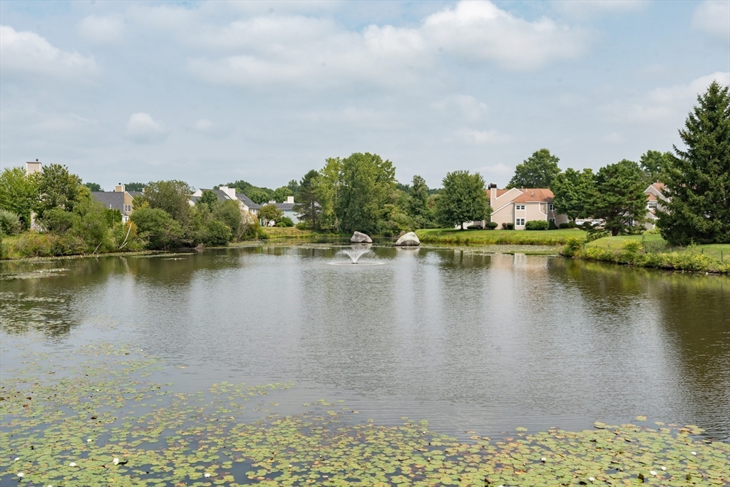 117 Clear Pond Dr # 117