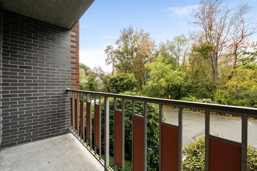 22 Faxon Street # 8