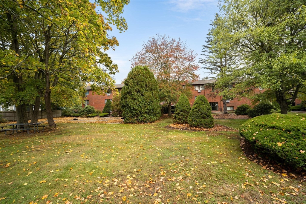 22 Faxon Street # 8
