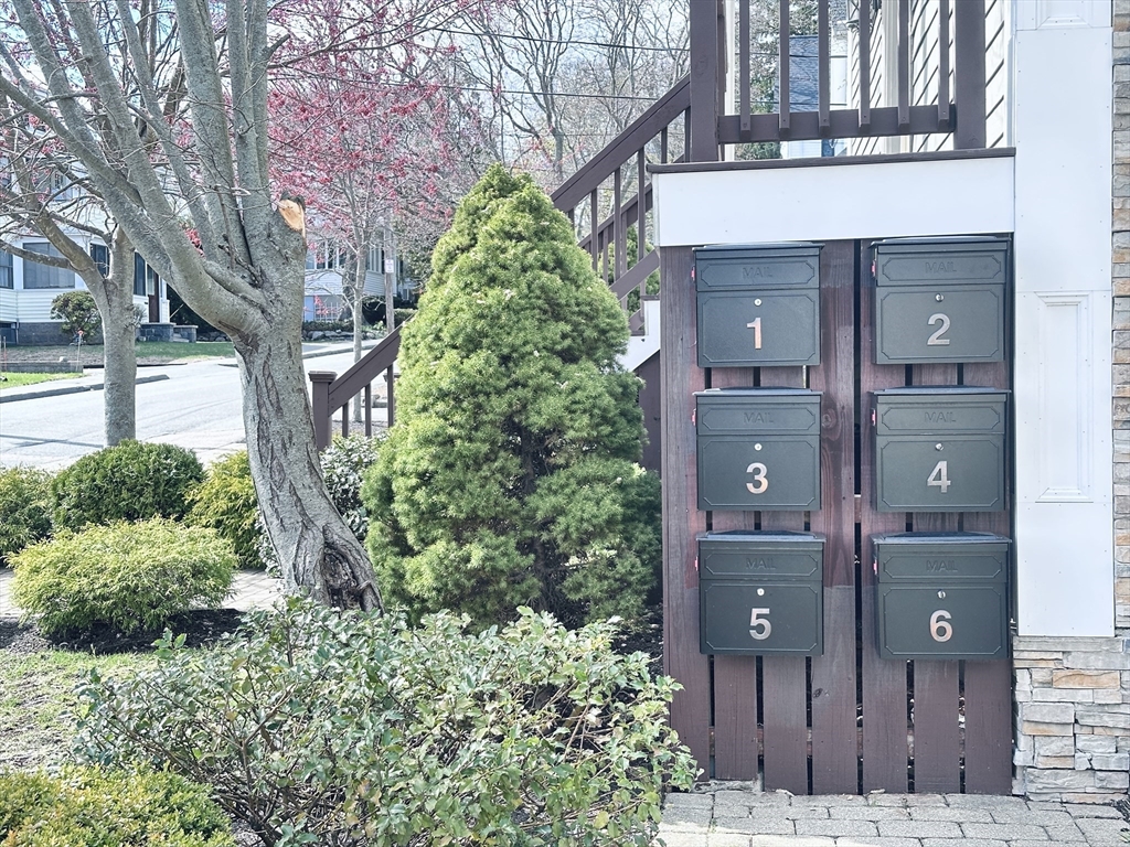 248 Presidents Lane # 3