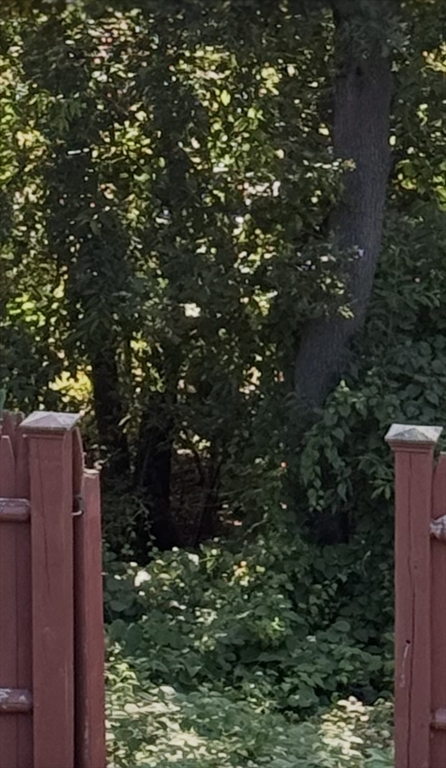 17 Woodcliff Road