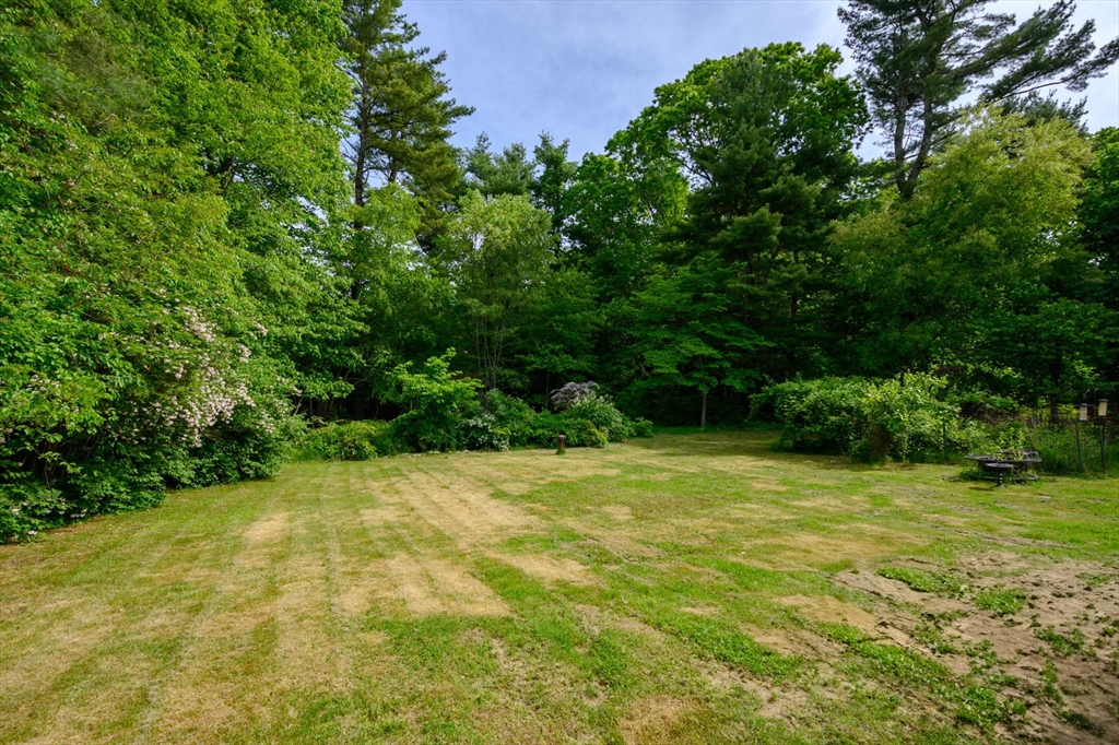 146 Field St