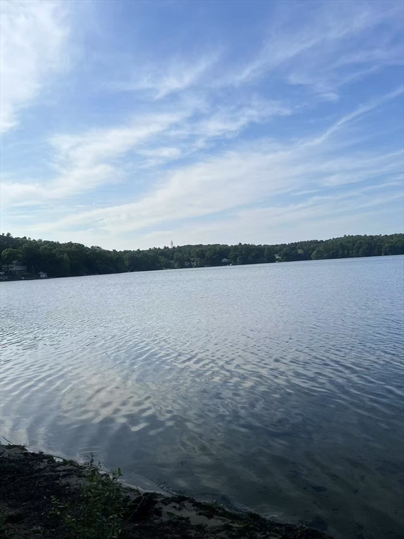 64 Black Cat Rd