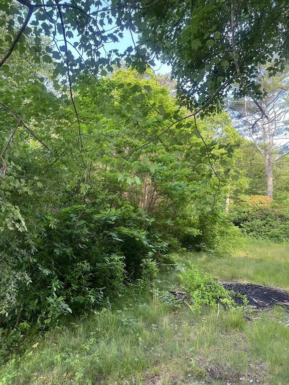 64 Black Cat Rd