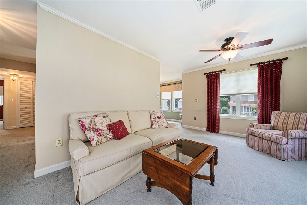37 Hastings St. # 207