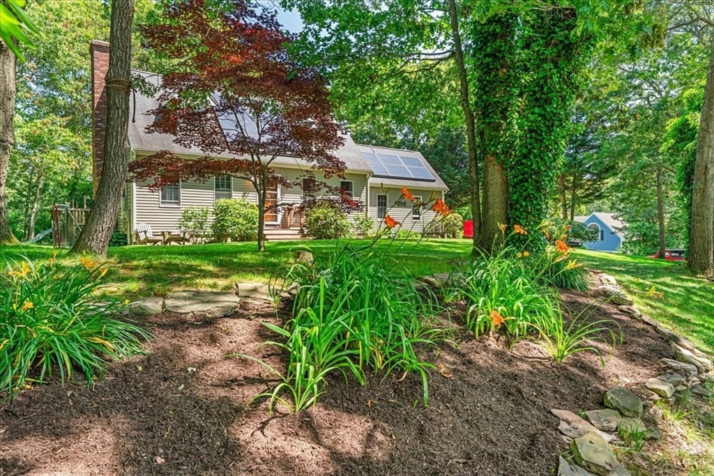 19 Forest Road