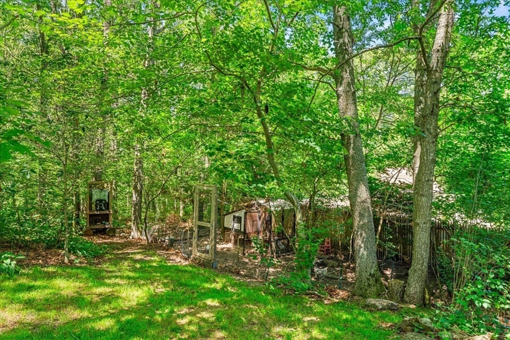 19 Forest Road