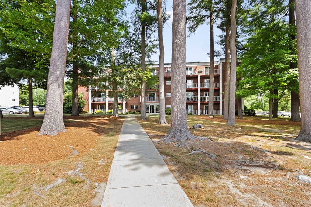 46 Greentree Ln # 16