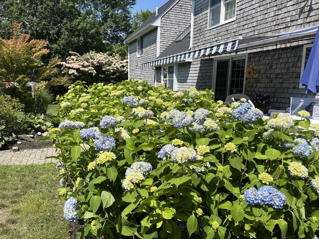 33 Tavern Way