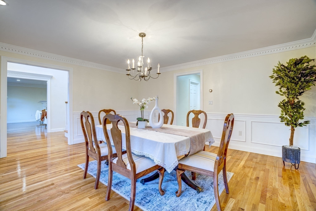 17 Bridle Path