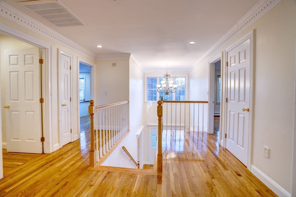17 Bridle Path